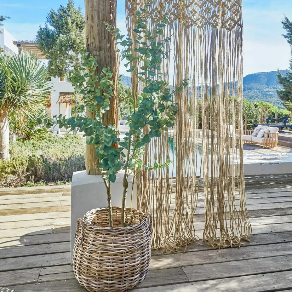 LOBERON Fleurs Séchées Et Artificielles|Décoration*Plante décorative en pot Dorevi