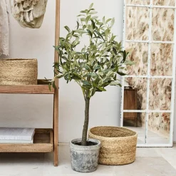 LOBERON Fleurs Séchées Et Artificielles|Décoration*Plante décorative en pot Mariuccia