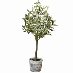LOBERON Fleurs Séchées Et Artificielles|Décoration*Plante décorative en pot Mariuccia
