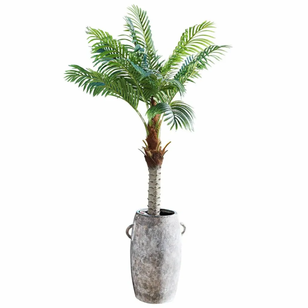 LOBERON Fleurs Séchées Et Artificielles|Décoration*Plante décorative en pot Zephyriel