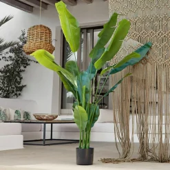 LOBERON Fleurs Séchées Et Artificielles|Décoration*Plante décorative Lennidas