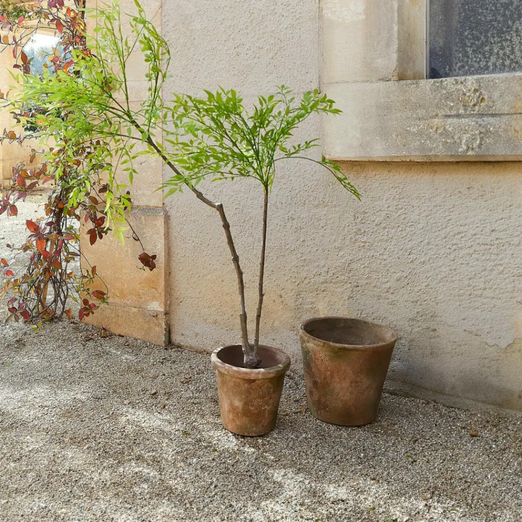 LOBERON Fleurs Séchées Et Artificielles*Plante en pot décorative 2d choix Avenelle