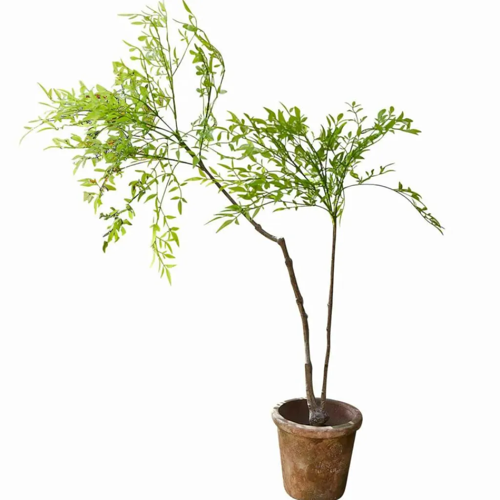 LOBERON Fleurs Séchées Et Artificielles*Plante en pot décorative 2d choix Avenelle