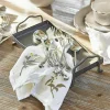 LOBERON Plateaux|Plateaux*Plateau Yixeno