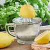 LOBERON Ustensiles De Cuisine|Accessoires De Table*Presse-citron Cindy