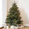 LOBERON Sapins Et Accessoires*Sapin de Noël Franck