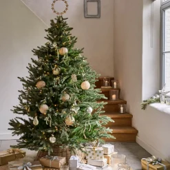 LOBERON Sapins Et Accessoires*Sapin de Noël Franck