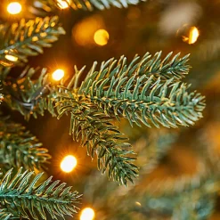 LOBERON Sapins Et Accessoires*Sapin de Noël Franck