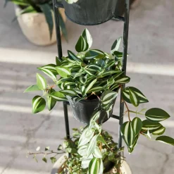LOBERON Cache-Pots Et Amphores*Support pour plantes Châtonnaye