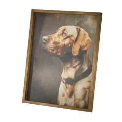 LOBERON Accessoires Et Jouets|Accessoires Pour Animaux*Tableau Purrana