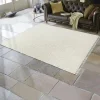 LOBERON Tapis D’Extérieur Et D’Intérieur*Tapis d'intérieur et d'extérieur Bruand