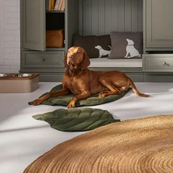 LOBERON Meubles Et Couchages|Couchages Pour Animaux*Tapis pour animaux Keirena